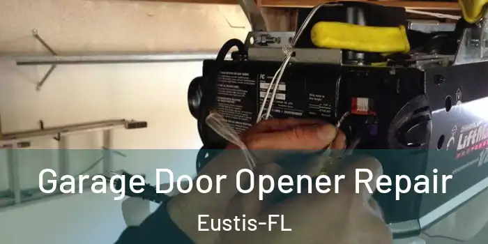  Garage Door Opener Repair Eustis-FL