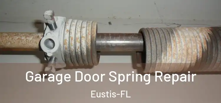  Garage Door Spring Repair Eustis-FL