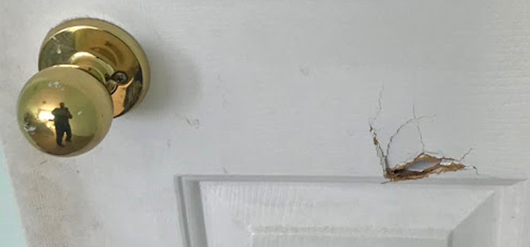 interior door hole repair Eustis
