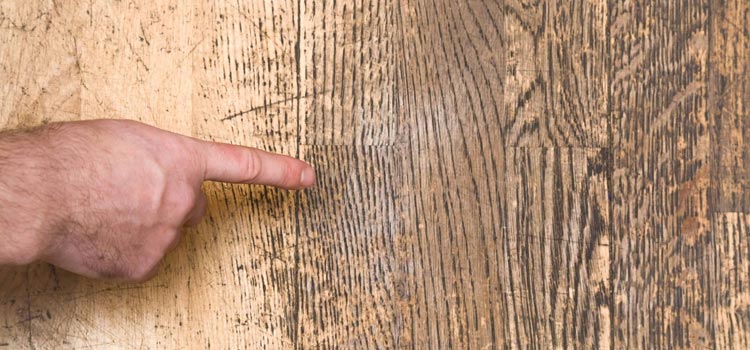 Wood Door Scratch Repair in Eustis