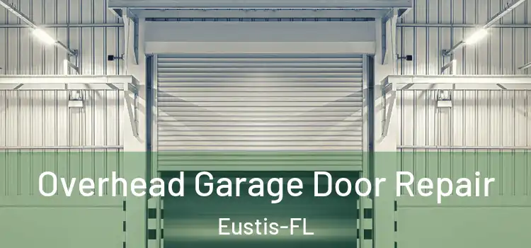  Overhead Garage Door Repair Eustis-FL