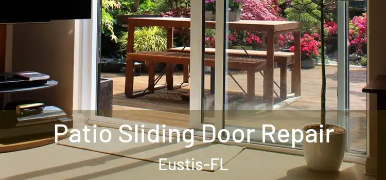  Patio Sliding Door Repair Eustis-FL
