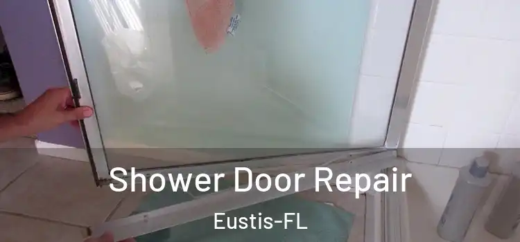  Shower Door Repair Eustis-FL