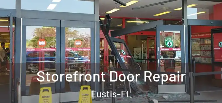  Storefront Door Repair Eustis-FL